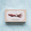 José Gourmet spiced calamari in ragout sauce, 120g tin