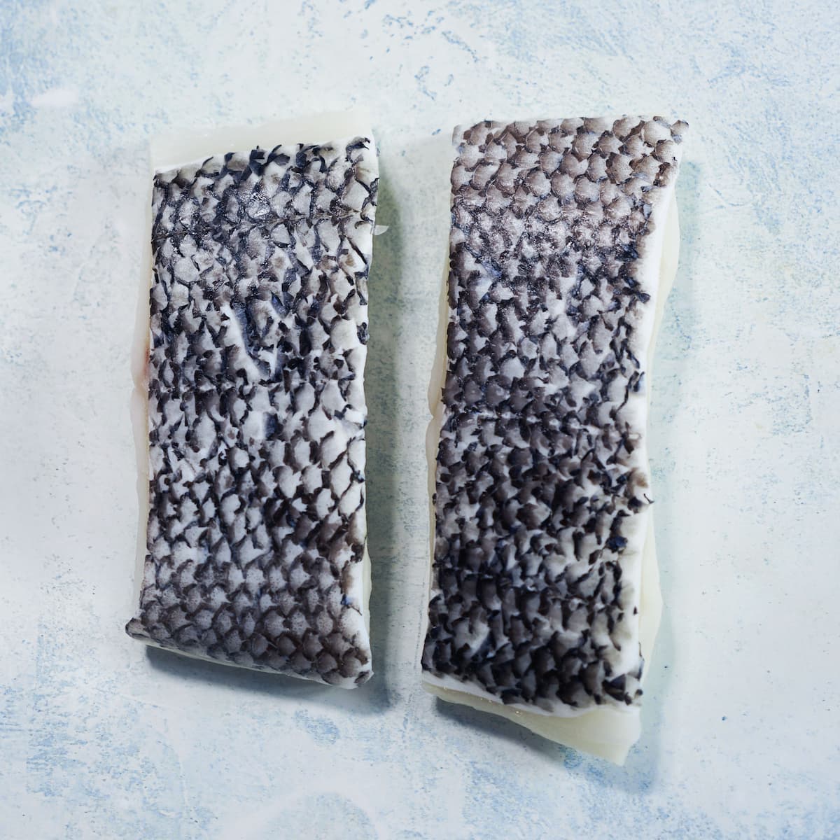 Wild Patagonian Toothfish Fillet Portions