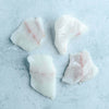 Turbot Misshapes