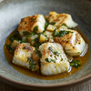 Turbot Misshapes