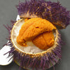 Uni - Sea Urchin Roe - Sashimi Grade