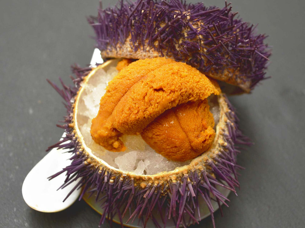 Uni - sea urchin roe - sashimi grade