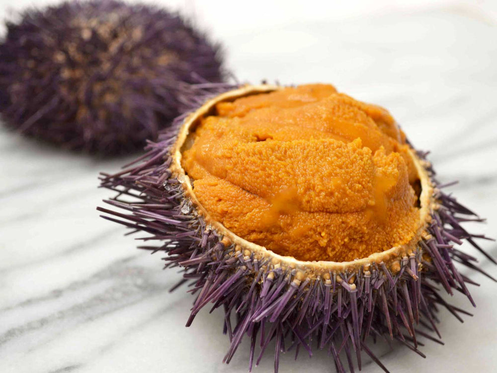 Uni - sea urchin roe - sashimi grade