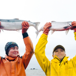 Wild Sockeye Salmon Whole Fillet
