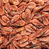 Whole Atlantic Prawns - 5kg Case