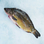 Whole Mirror Carp - Cleaned