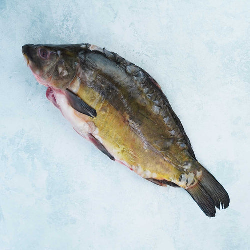 Whole Mirror Carp - Cleaned