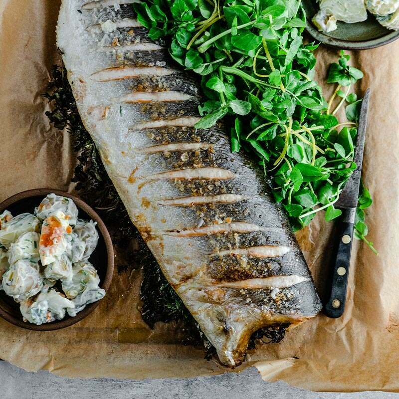Whole Salmon