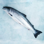 Whole Organic Scottish Salmon - Cleaned