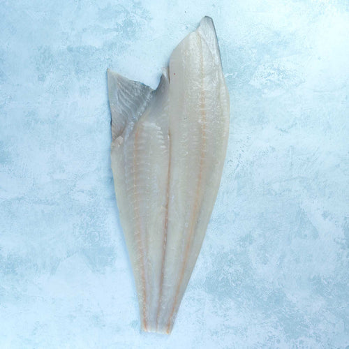 Whole Nordic Halibut Fillet