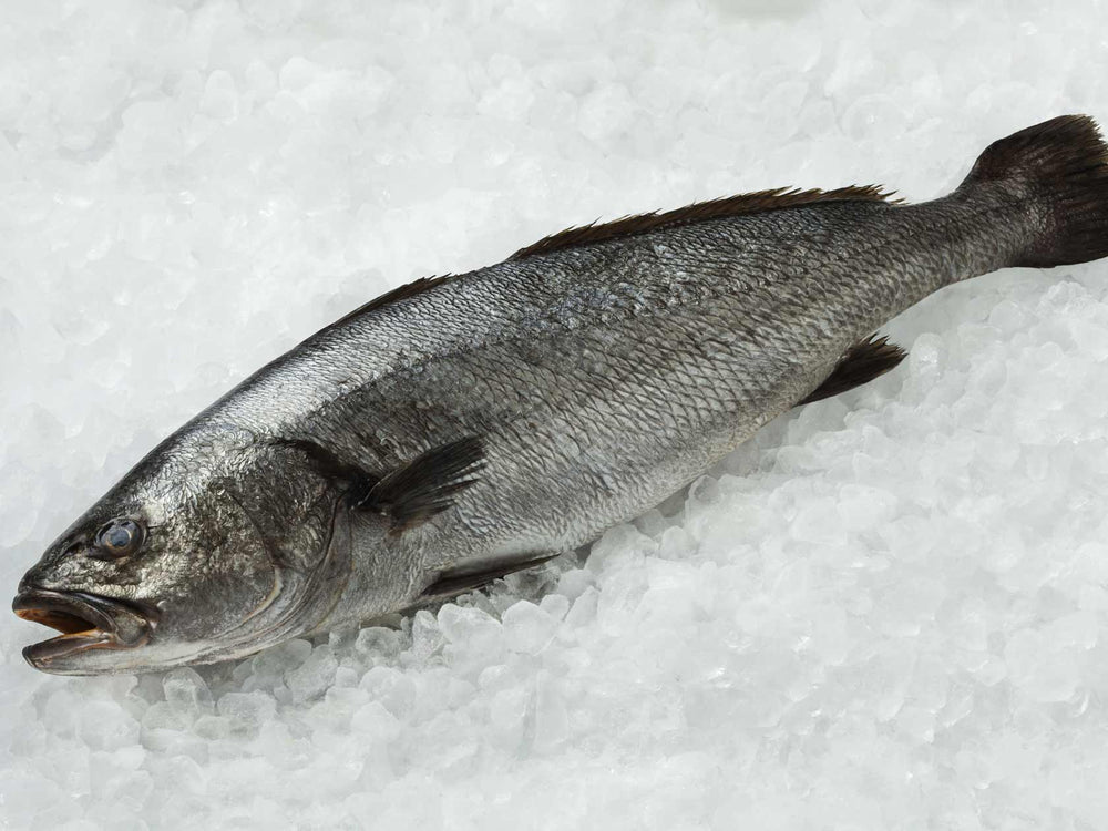 Stone bass fillet steaks