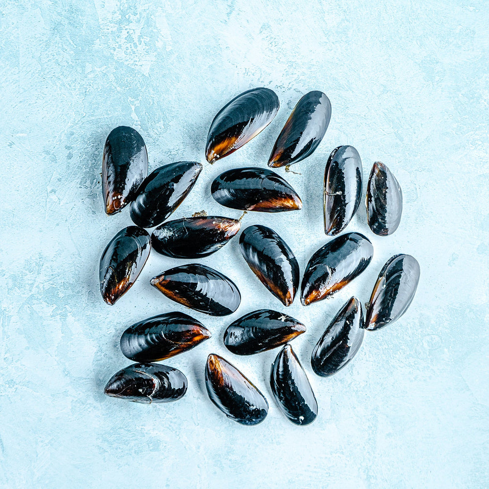 Frutti di Mare Seafood Pasta Box - Serves 4-6 - Frozen Whole Mussels