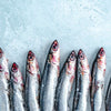 Whole Wild Atlantic Anchovies