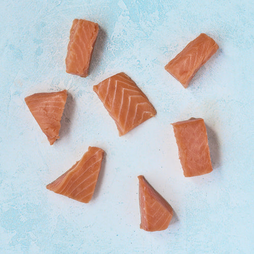 Atlantic Salmon Misshapes