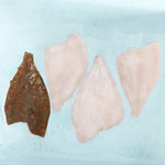 Wild British Plaice Fillets