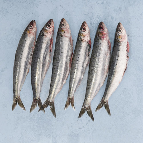 Sardines Whole & Pan Ready