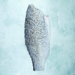 Barramundi fillets