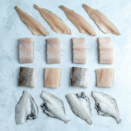 Best Selling White Fish Bundle - Medium (16 Servings) - The Fish Society