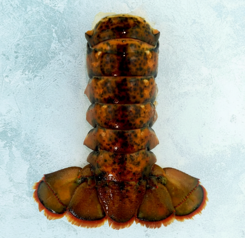 Wild Raw Canadian Lobster Tails