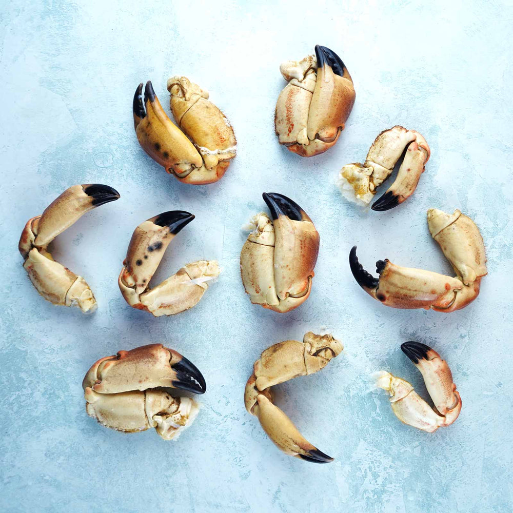 Seafood Boil Kit - Serves 4 - Wild British Crab Claws - Cooked