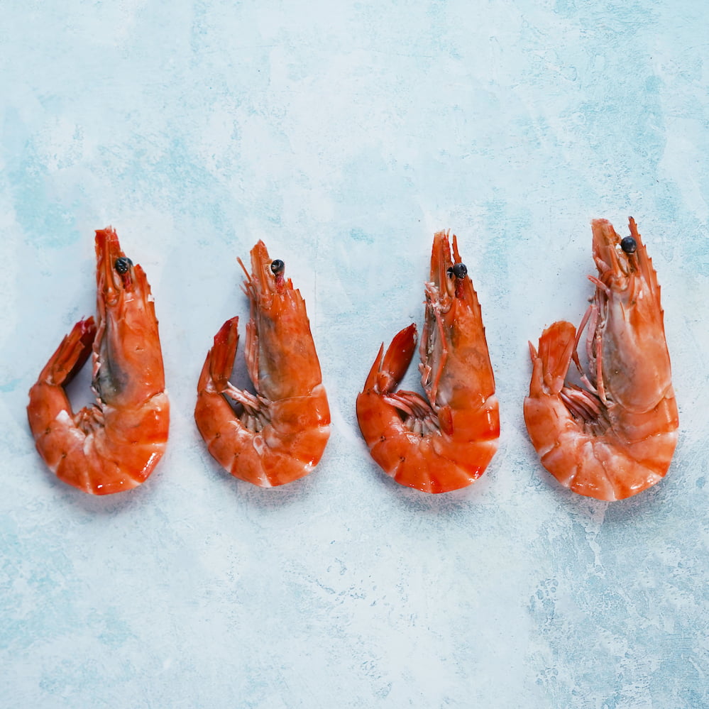 Crevettes - Whole Cooked XL King Prawns
