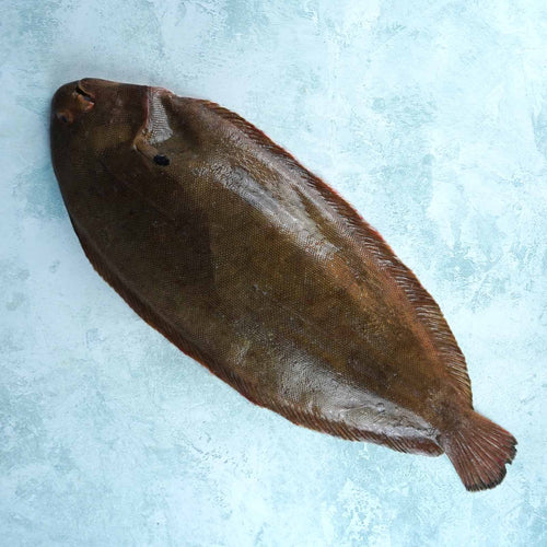 Whole Wild British Dover Sole - Cleaned