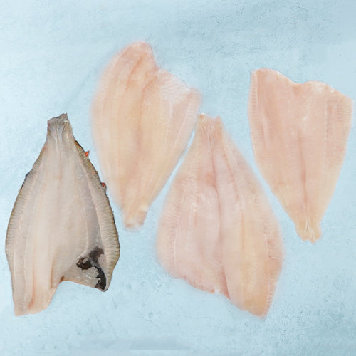 Wild British Plaice Fillets