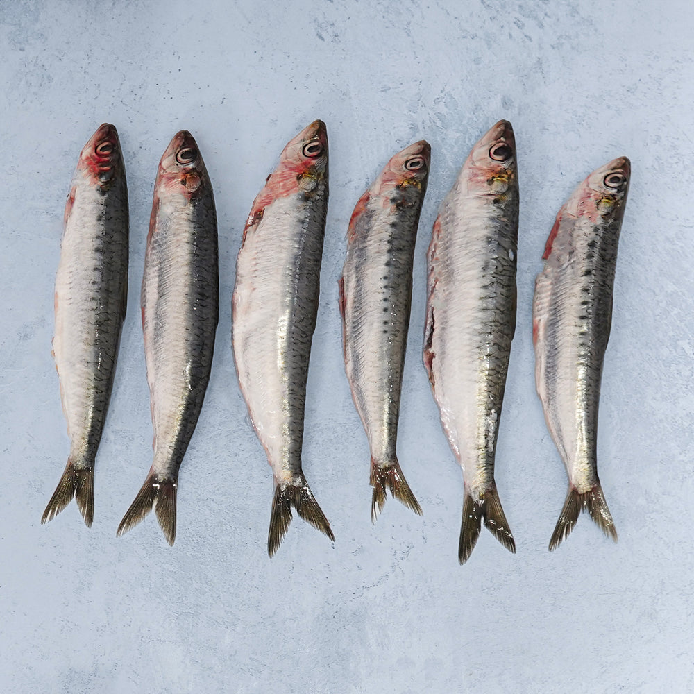 Sardines Whole & Pan Ready