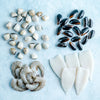 Frutti di Mare Seafood Pasta Box - Serves 4-6 - The Fish Society