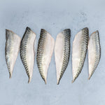 Wild British Mackerel Fillets