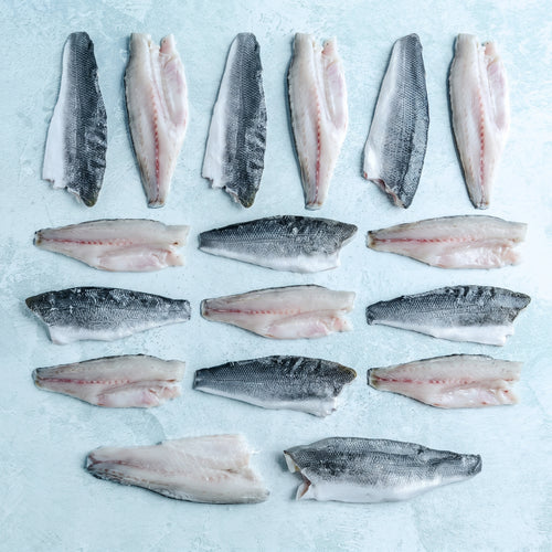 Mediterranean Sea Bass Fillets - Best Seller Bundle (10 x 200g, 20 fillets) - The Fish Society