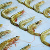 Whole Raw XL King Prawns