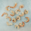 Wild Red Prawn