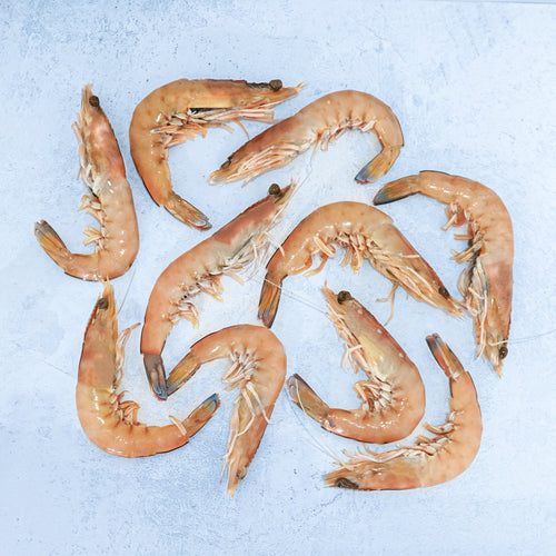 Whole Wild King Prawns