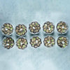 Snails In Garlic Butter Case Of 10