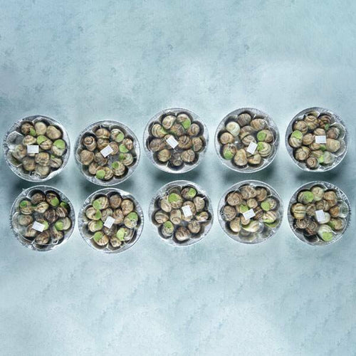Snails In Garlic Butter Case Of 10