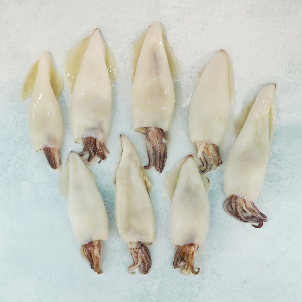 Whole Cleaned Squid