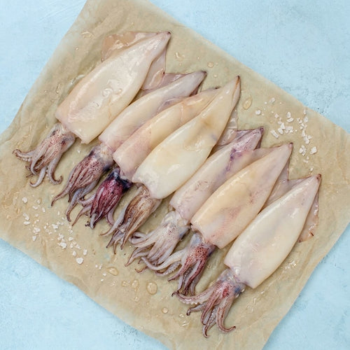 Whole Cleaned Squid