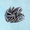 Whole Wild Atlantic Anchovies