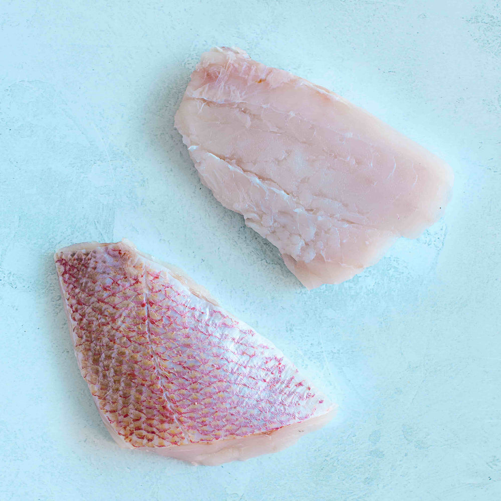 Buy Frozen Red Snapper Fillets Online | 2 Fillets Per Pack – The Fish ...